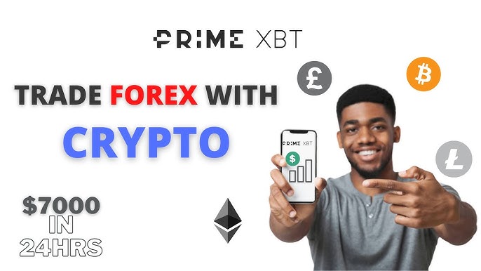 Understanding Trading Fees on PrimeXBT A Comprehensive Guide Understanding Trading Fees on PrimeXBT A Comprehensive Guide